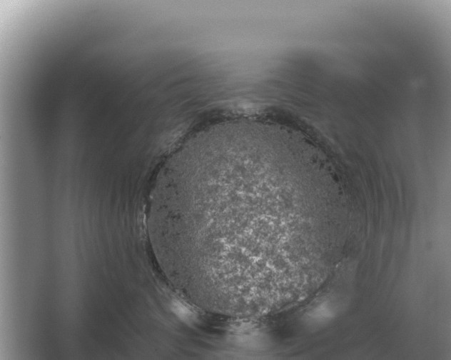 X0000067390624200604071755