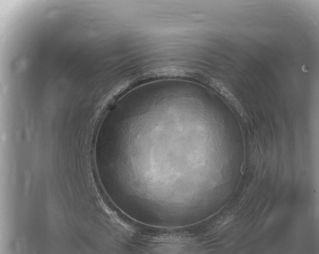 X0000067390625200604071754