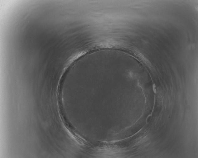 X0000067390626200604071754