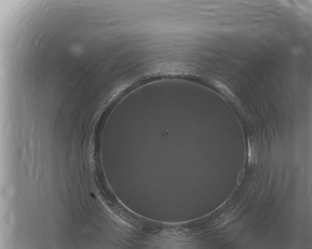 X0000067390627200604071754