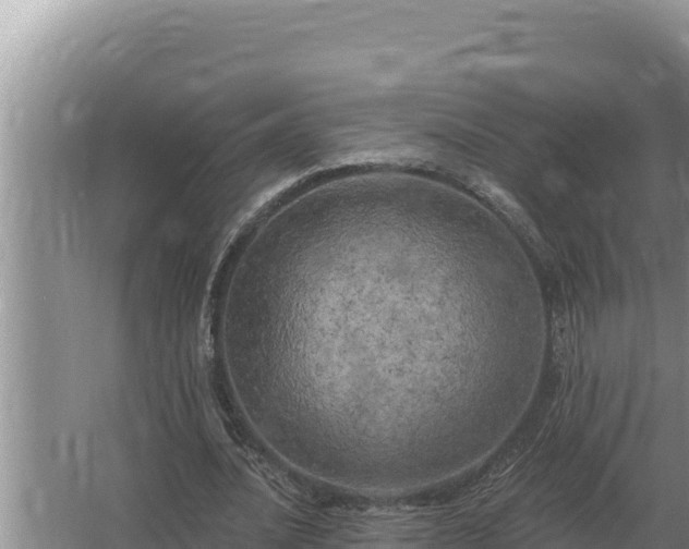 X0000067390628200604071754