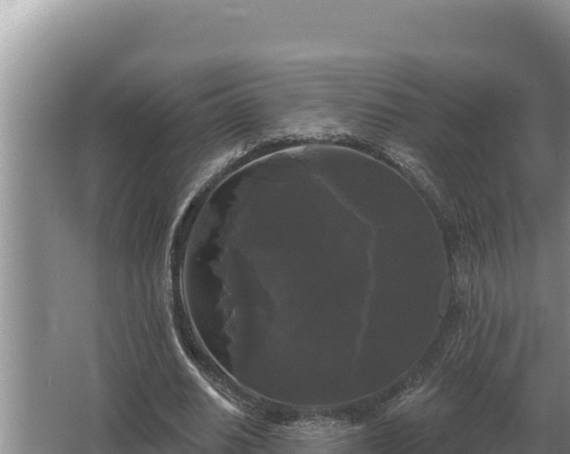 X0000067390630200604071754