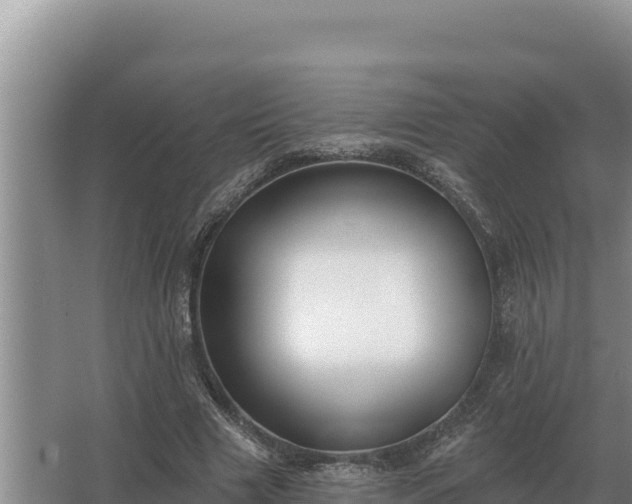 X0000067390633200604071754