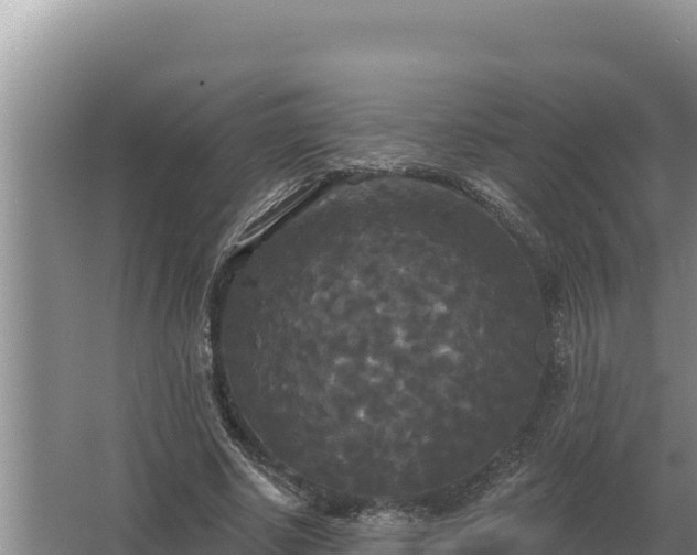 X0000067390634200604071754