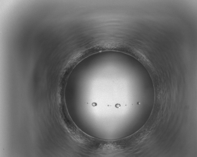 X0000067390635200604071754