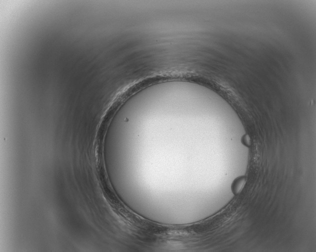 X0000067390636200604071754