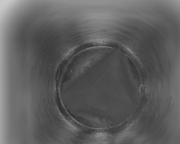 X0000067390637200604071754