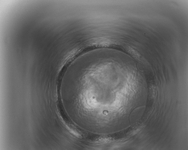 X0000067390638200604071754