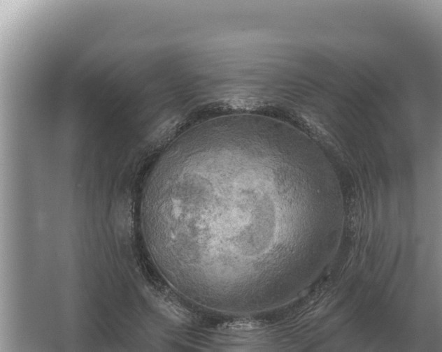 X0000067390639200604071754