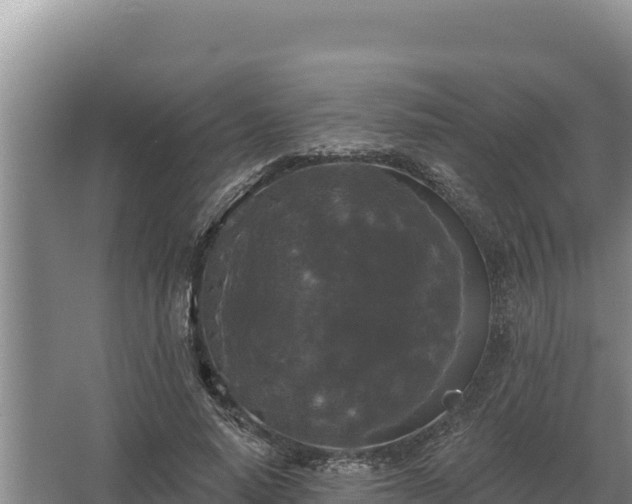 X0000067390640200604071754