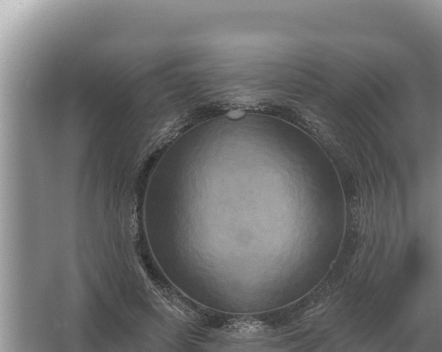 X0000067390642200604071754