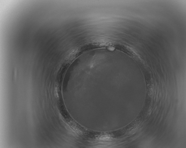 X0000067390643200604071754