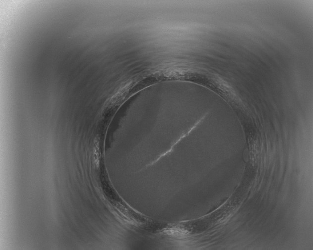 X0000067390644200604071754