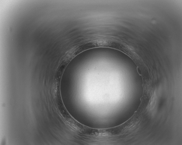 X0000067390645200604071754