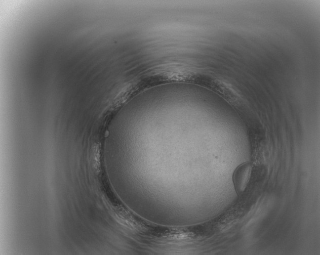 X0000067390646200604071754