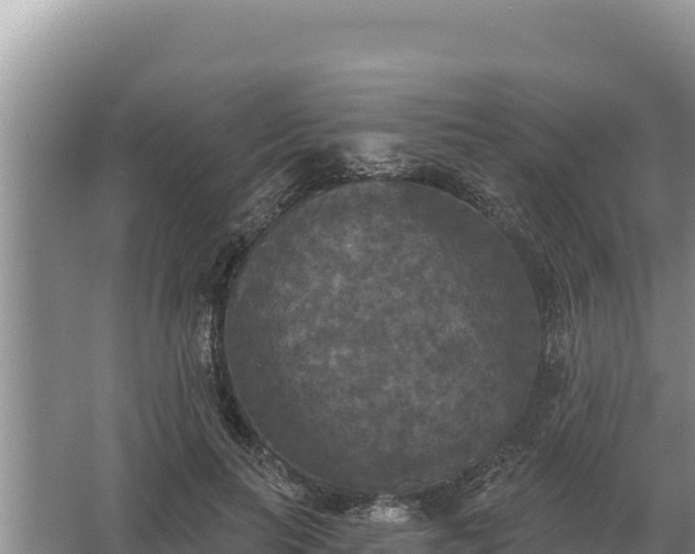 X0000067390647200604071755