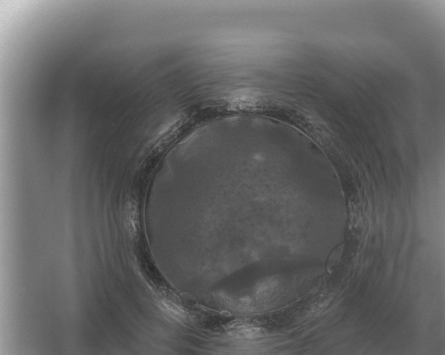 X0000067390648200604071755