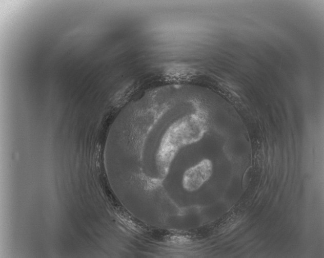 X0000067390649200604071755