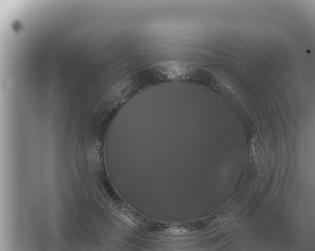 X0000067390650200604071755