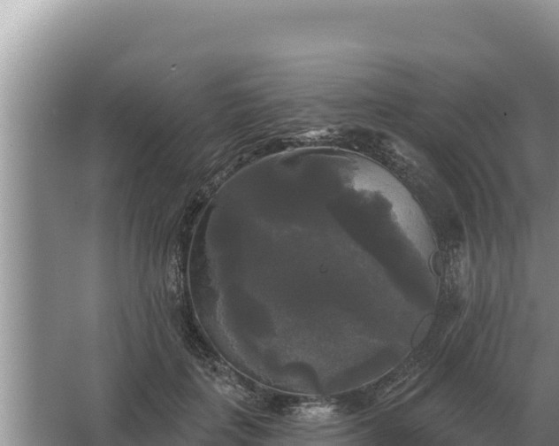 X0000067390651200604071755