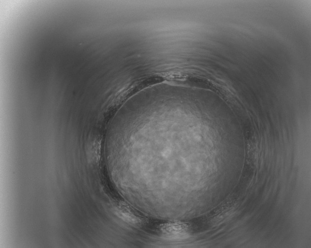 X0000067390652200604071755