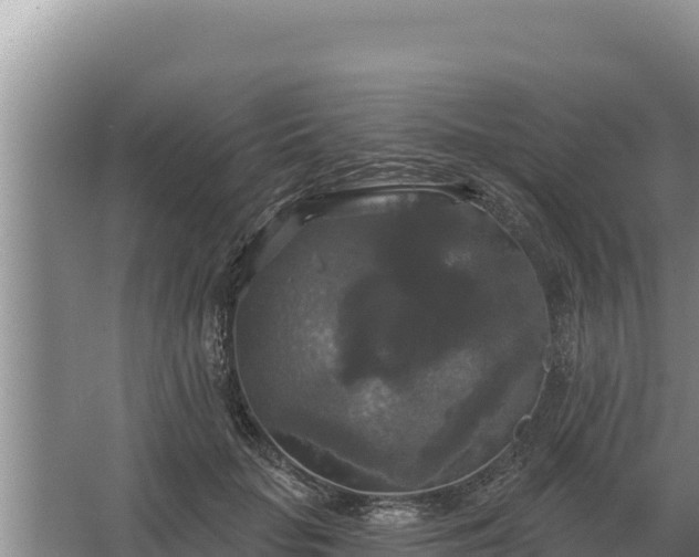 X0000067390653200604071755