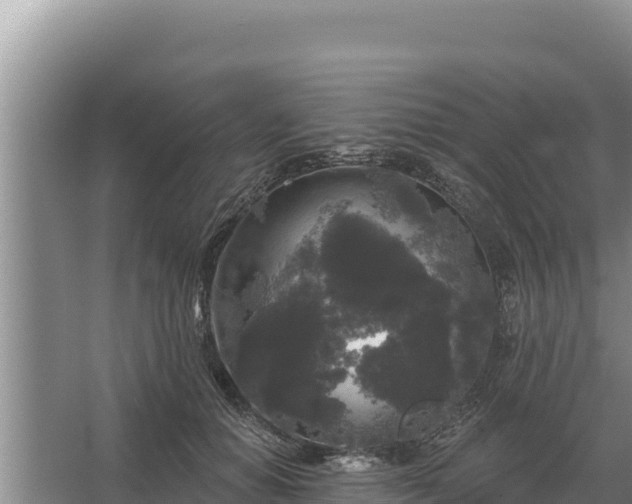 X0000067390654200604071755