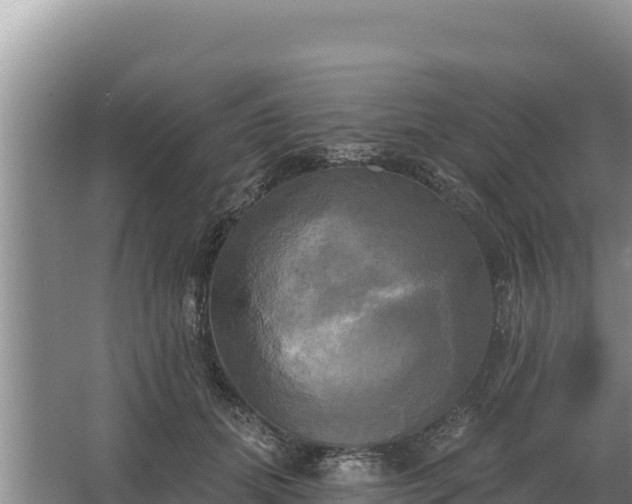 X0000067390655200604071755