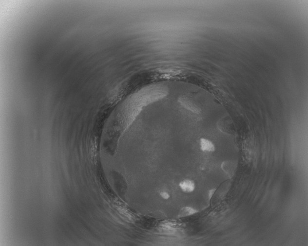 X0000067390657200604071755