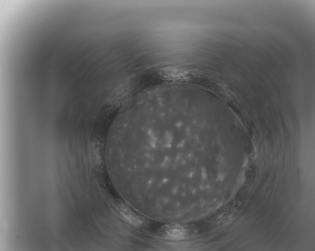 X0000067390658200604071755