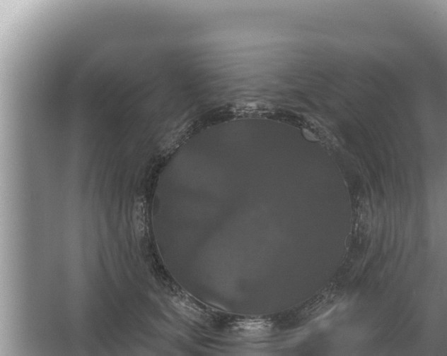 X0000067390659200604071755