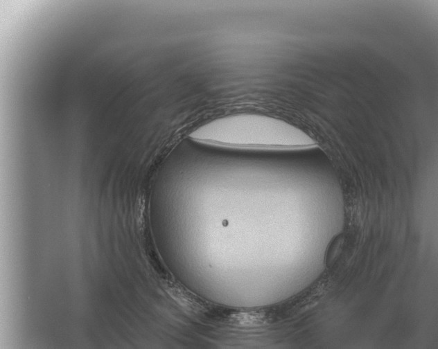 X0000067390660200604071755