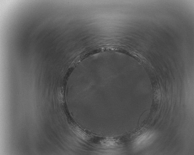 X0000067390661200604071755