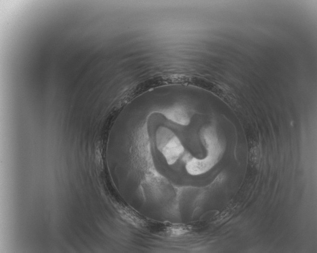 X0000067390662200604071755