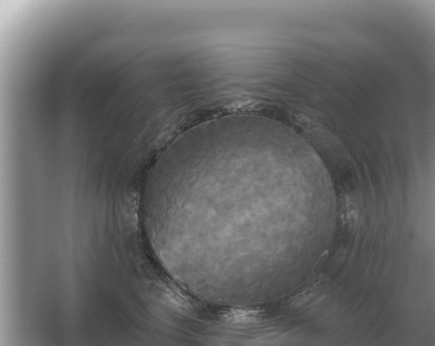 X0000067390664200604071755