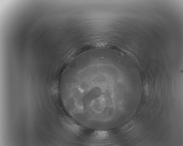 X0000067390665200604071755