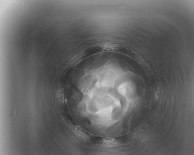 X0000067390666200604071755