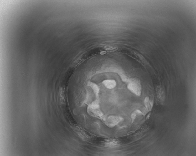 X0000067390667200604071755