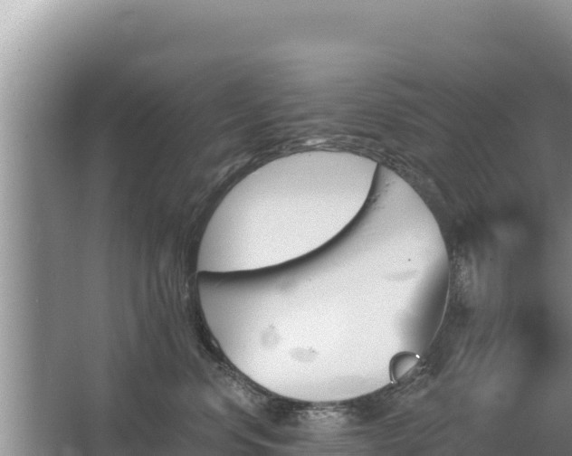 X0000067390668200604071755