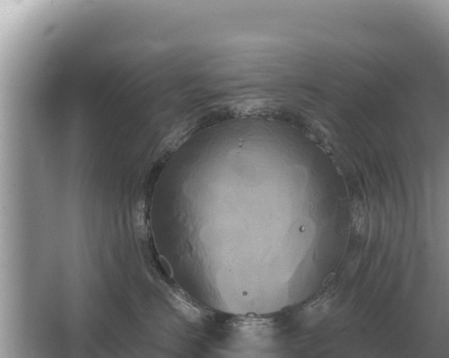 X0000067390670200604071755