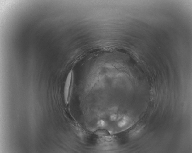 X0000067390671200604071755