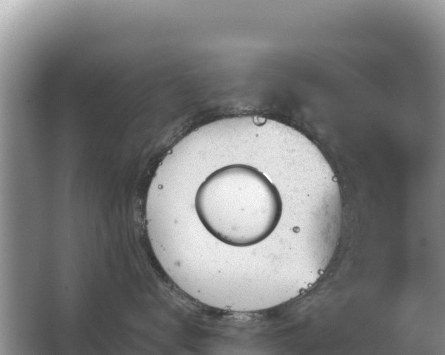 X0000067390672200604071755