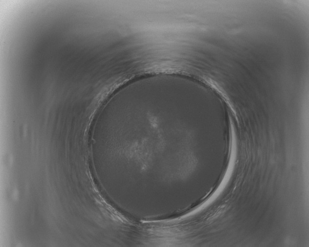 X0000067390673200604071754