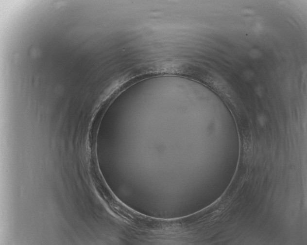 X0000067390674200604071754