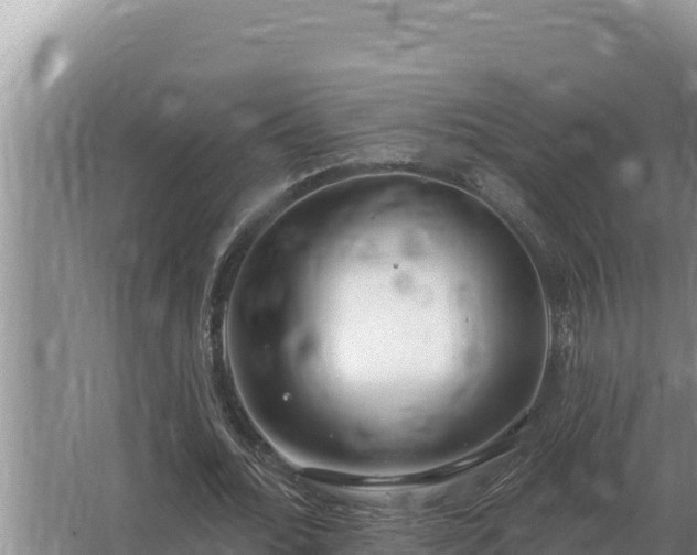 X0000067390676200604071754