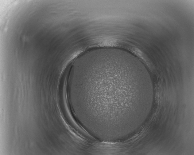 X0000067390677200604071754