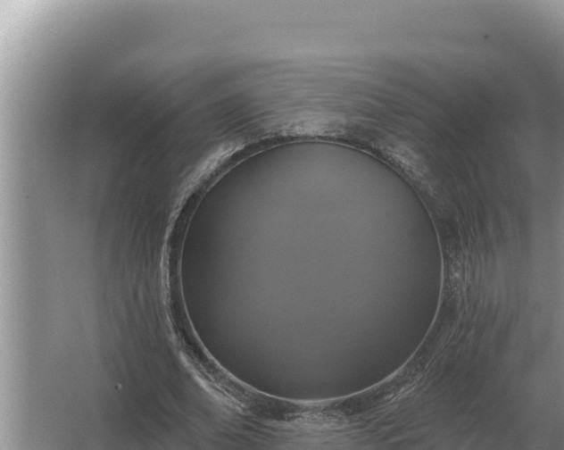 X0000067390678200604071754