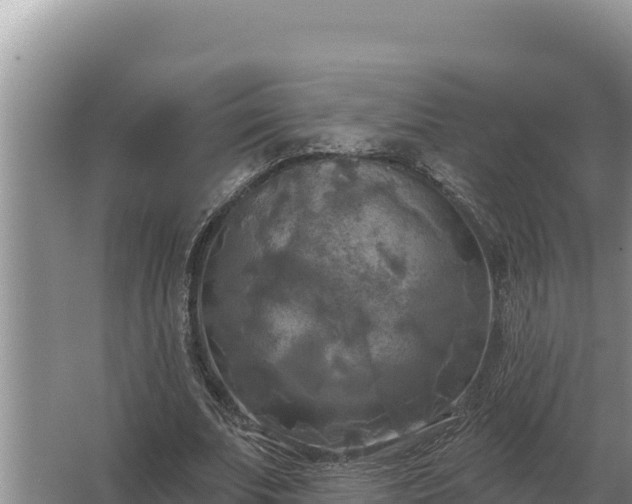 X0000067390679200604071754