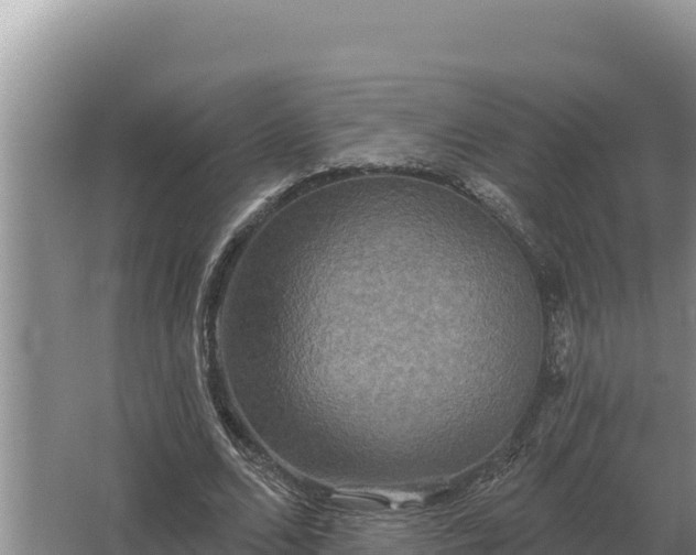 X0000067390680200604071754