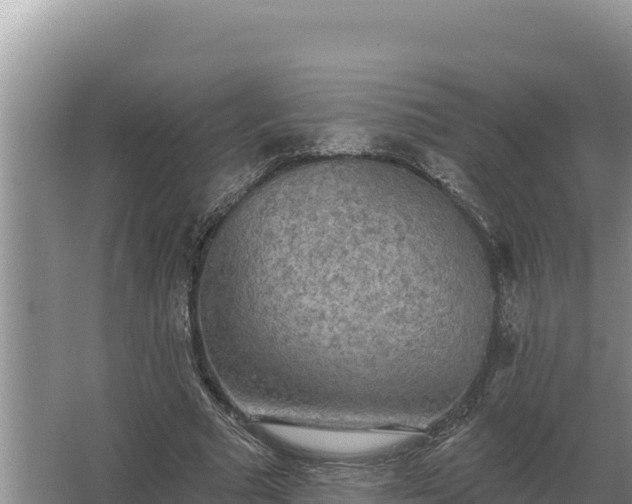 X0000067390681200604071754